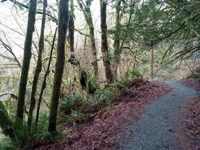 Hundred Acre Woods - Image 1