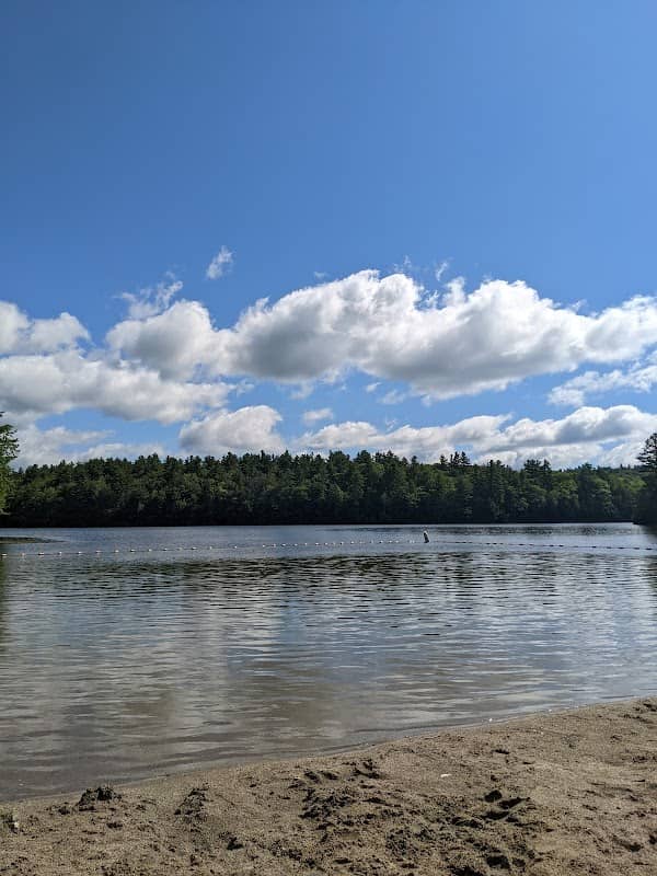 DAR Forest - Massachusetts - Image 1