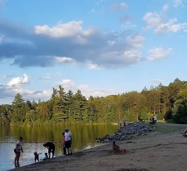 DAR Forest - Massachusetts - Image 3