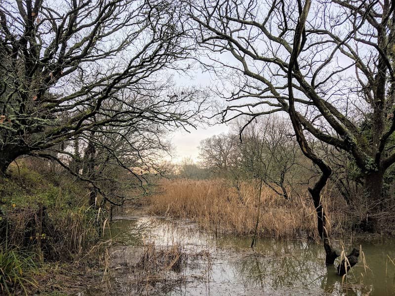 Jetty Marsh Basin - Image 2