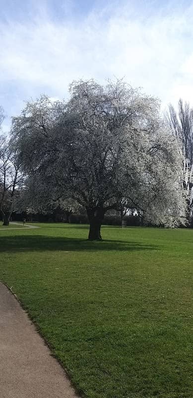 Cannock Park - Image 1