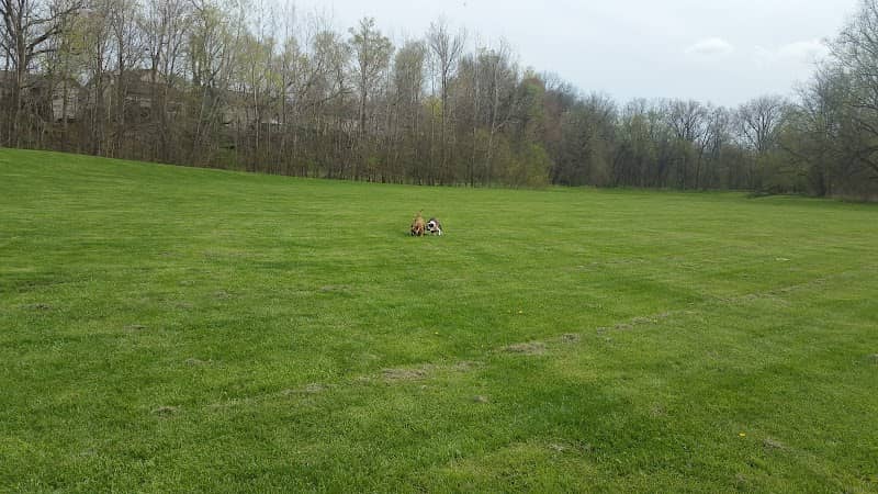 Rooker Park - Image 1