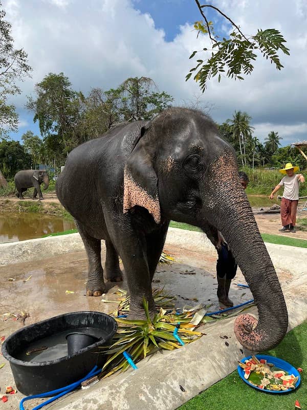 Elephant Village Samui - Image 1