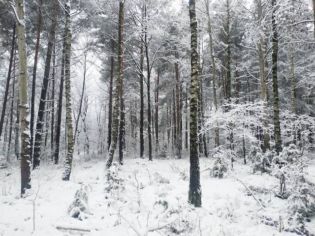 Las Turczyn - Image 1
