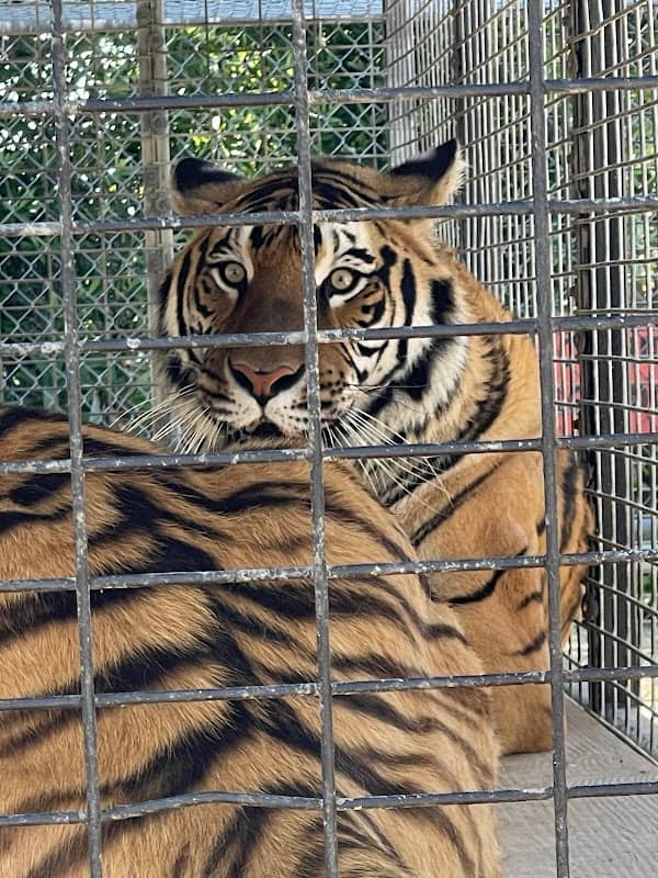The Teaching Zoo at Moorpark College - Image 1