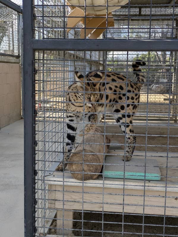 The Teaching Zoo at Moorpark College - Image 2