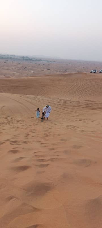 Al Ain Desert Safari - Image 1