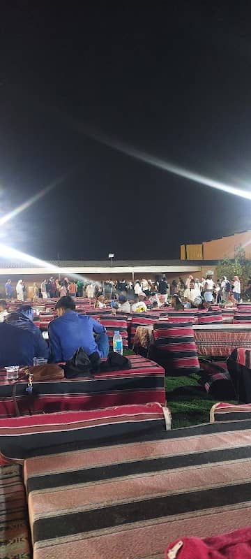 Al Ain Desert Safari - Image 2