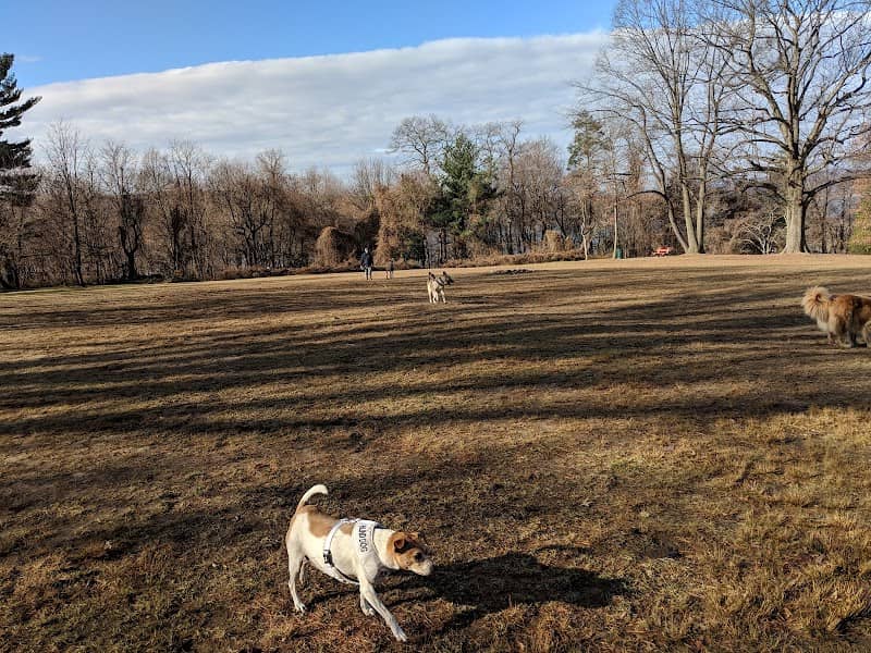 Draper Park - Image 1