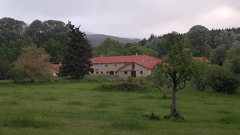 Tatoi Forest - Image 1