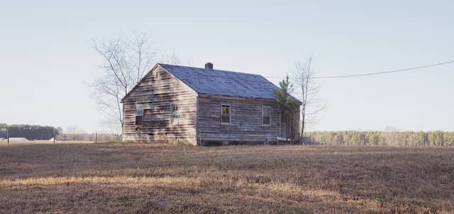 Big Woods Wildlife Management Area - Image 2