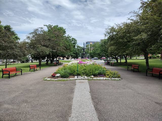 Taylor Park - Image 3