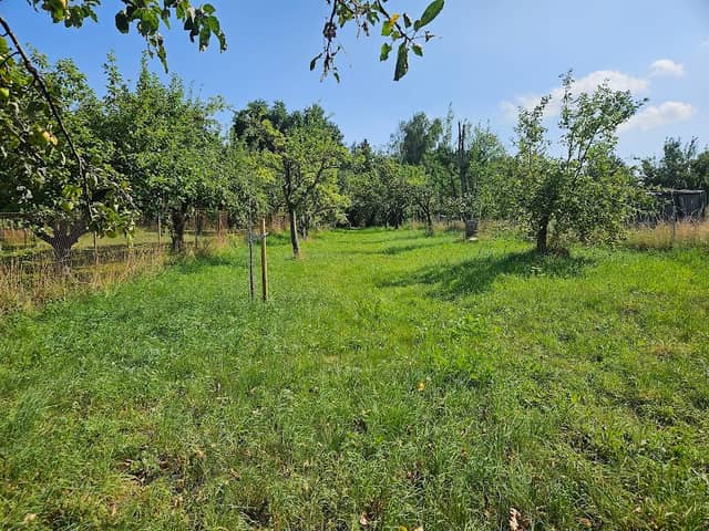 NABU Streuobstwiese Wingertsberg - Image 1