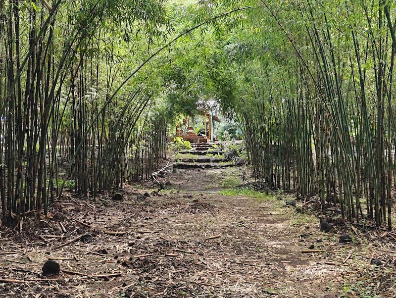 BambooVishwa - Tent Stay - Dhokshet - Image 1