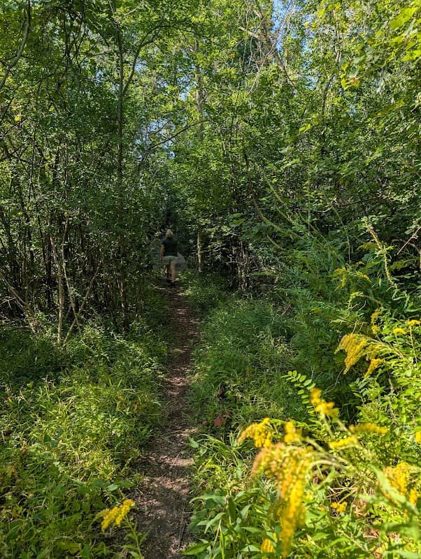 Hodenpyl Woods - Image 1