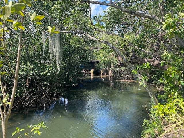 Arch Creek Park - Image 2