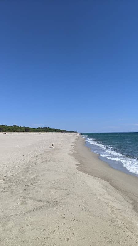 I Boschetti - Gabella - Image 1
