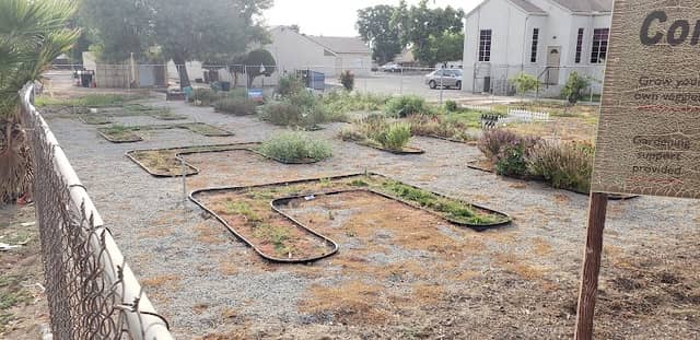 Back to Eden Community Garden - Image 2