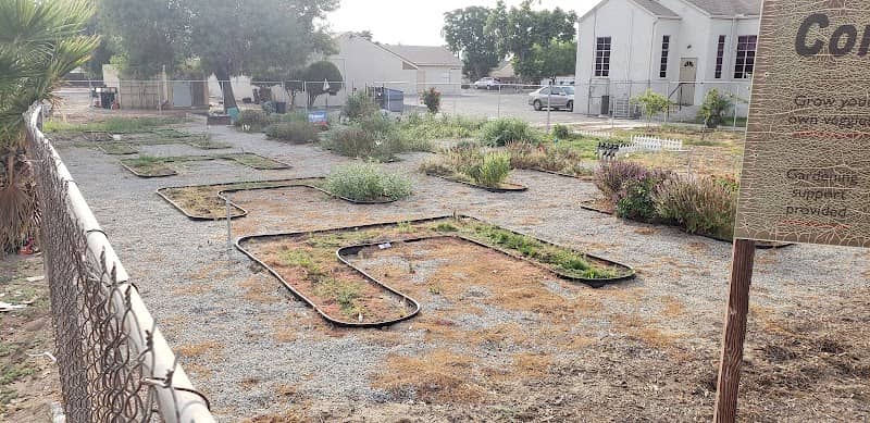Back to Eden Community Garden - Image 2