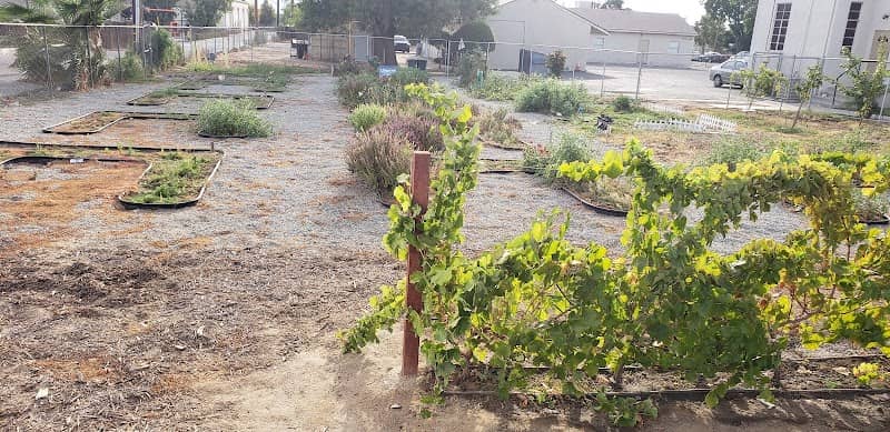 Back to Eden Community Garden - Image 1