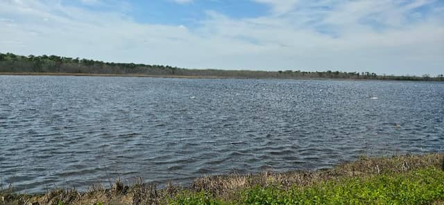 Tuckahoe WMA Observation Deck - Image 1