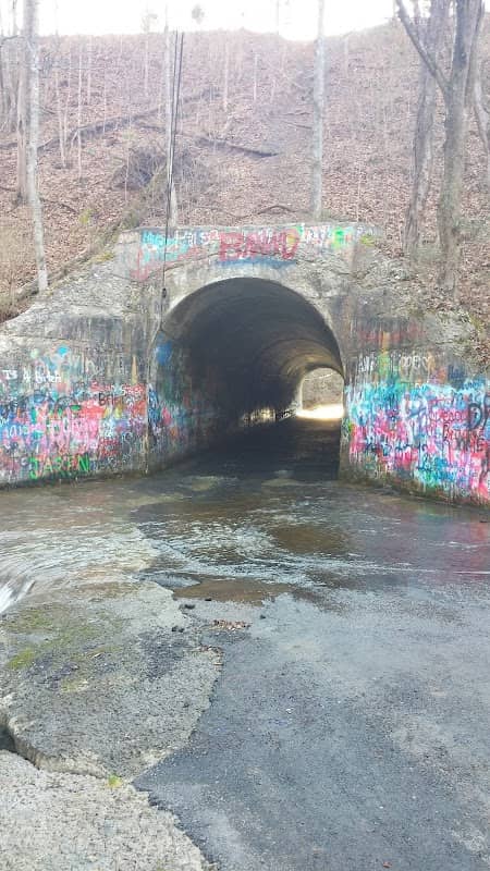 Sensabaugh Tunnel - Image 1