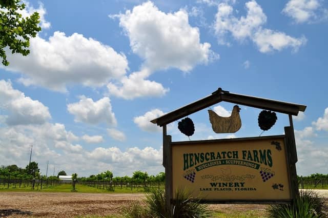 Henscratch Farms - Image 1