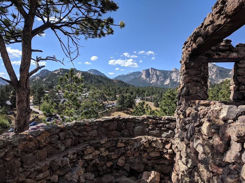The Birch Ruins - Image 1