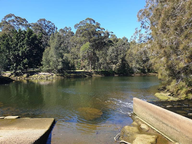 Lane Cove National Park Picnic Bookings - Image 1