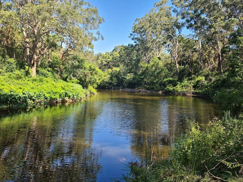 Lane Cove National Park Picnic Bookings - Image 2