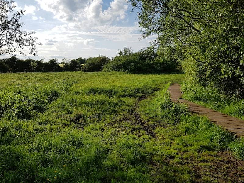 Willow Meadow - Image 1