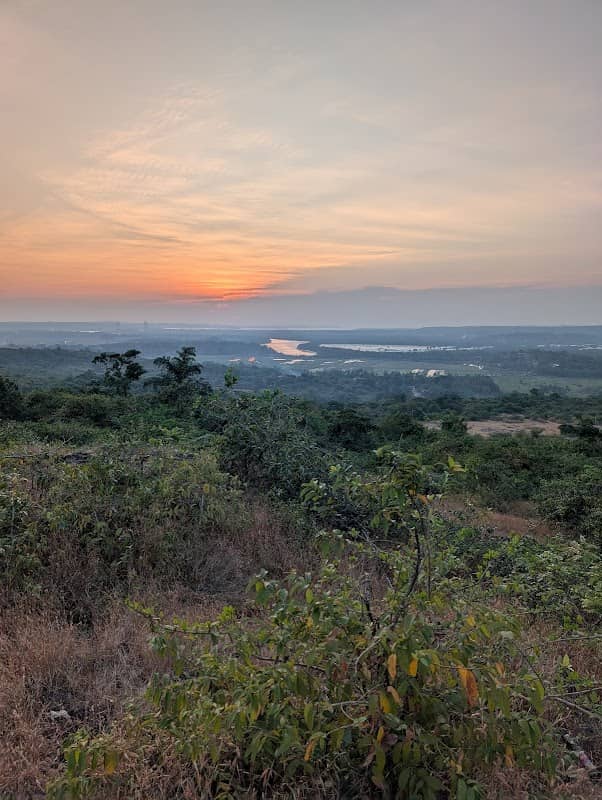 sun set point - Image 2