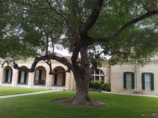 Historic "Old Morgue" at Fort Brown - Image 2