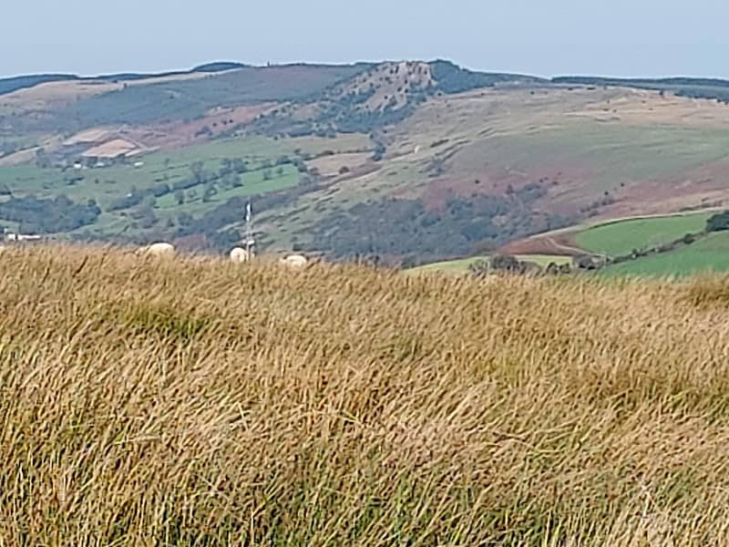 Mynydd Y Glyn - Image 2