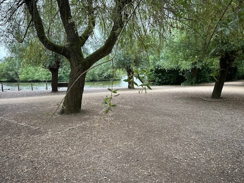 Dinton Pastures sunset point - Image 2