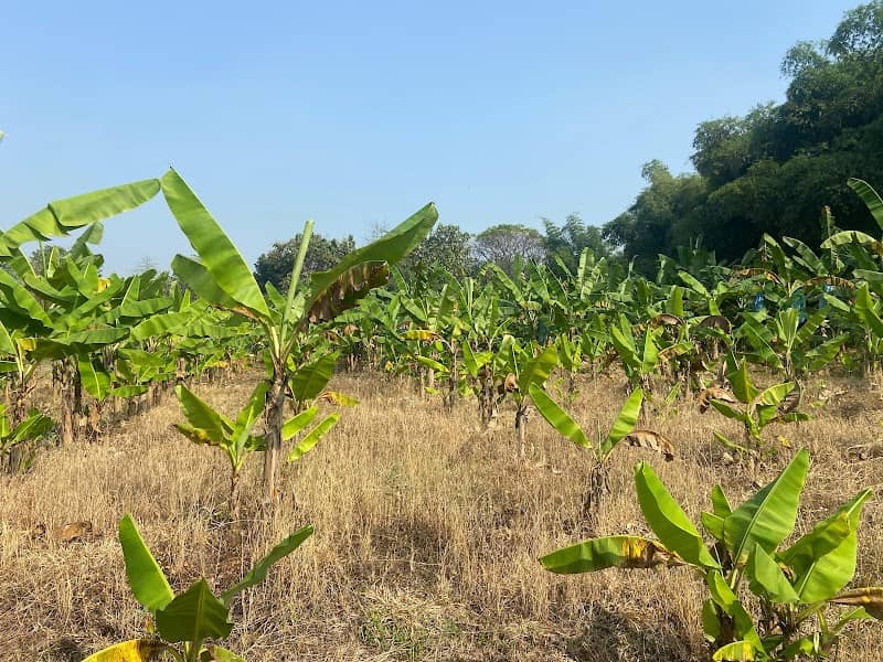 Wisata Gunungsari - Image 1