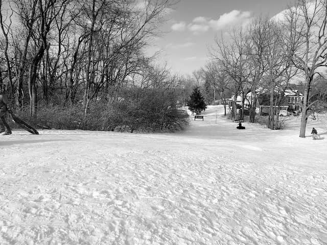 Tara Park - Image 2