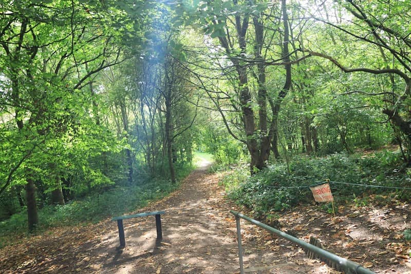 Leddy's Field - Image 1
