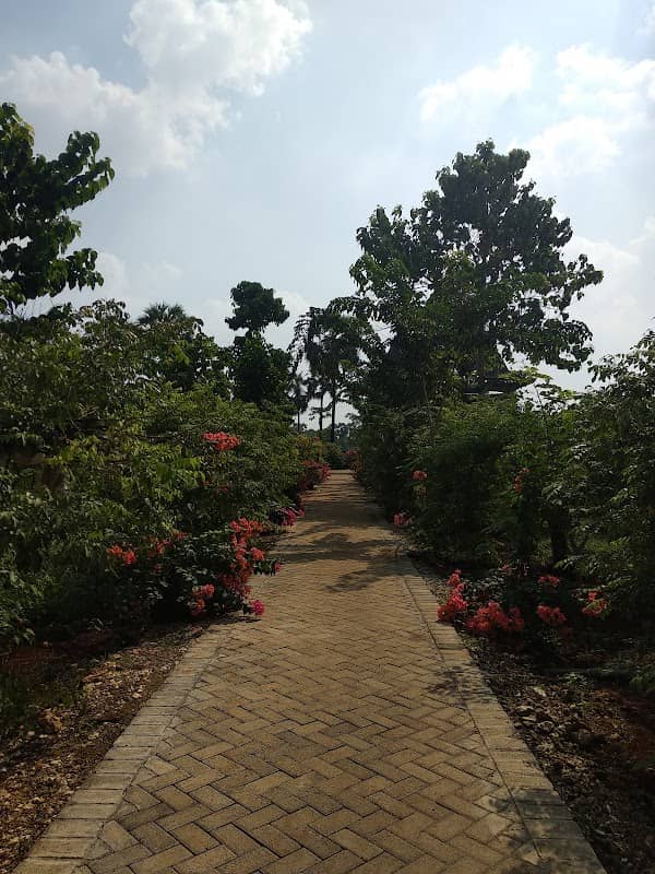 Agrowisata Attaqie Farm - Image 2