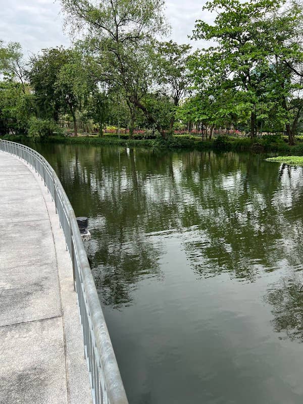 จุดให้อาหารปลา Feeding fish - Image 1
