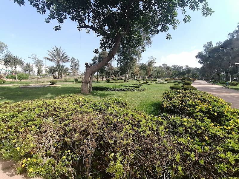 Park Ibn Msik - Image 1