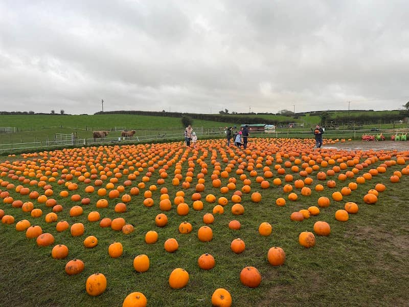 Streamvale Farm - Image 1