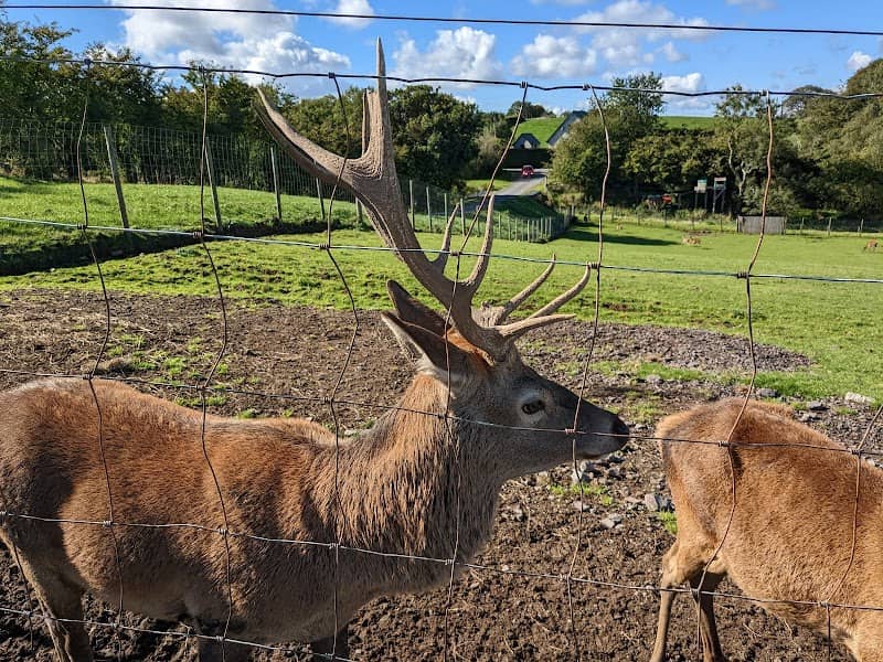 Streamvale Farm - Image 2
