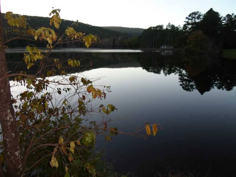 Misty Mountain (Girl Scout) - Image 1