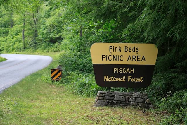 Pink Beds Picnic Area - Image 2