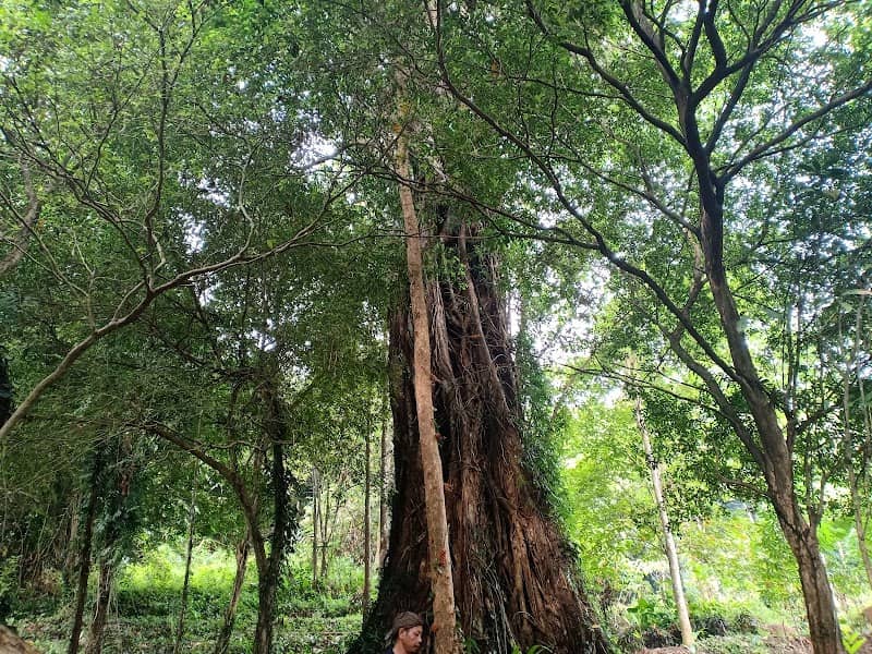 Desa Wisata Dusun Kelewih - Image 1
