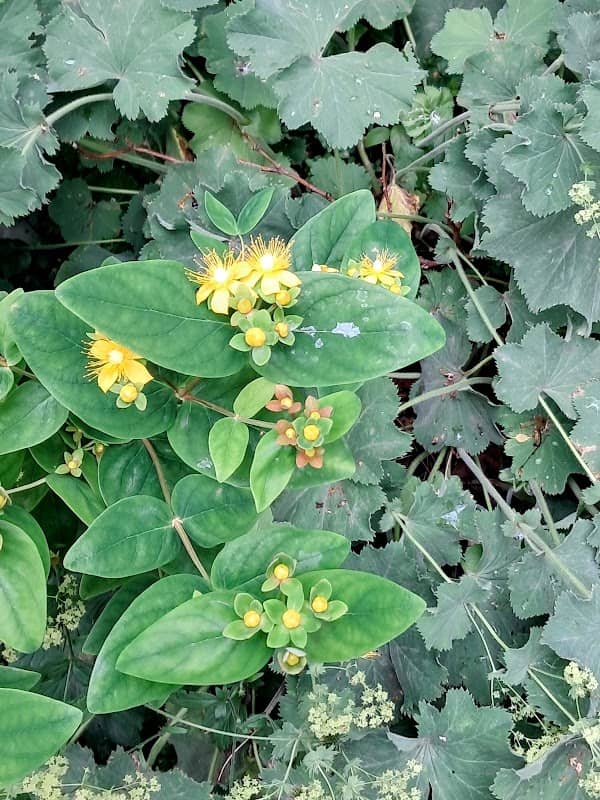 Eyßelforst „Schützt die Natur“ - Image 1
