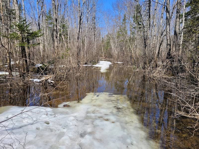 Deer Park Trails - Image 2