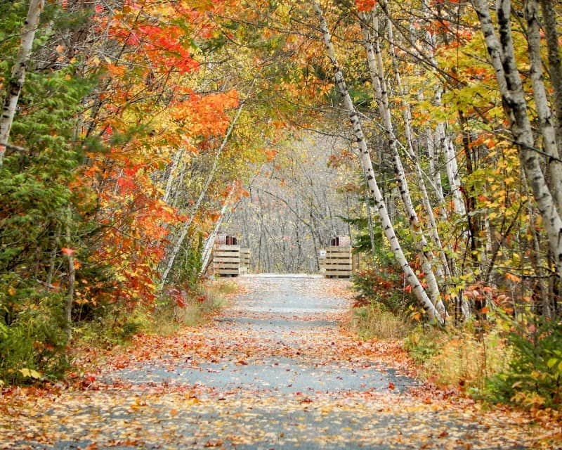 Deer Park Trails - Image 1