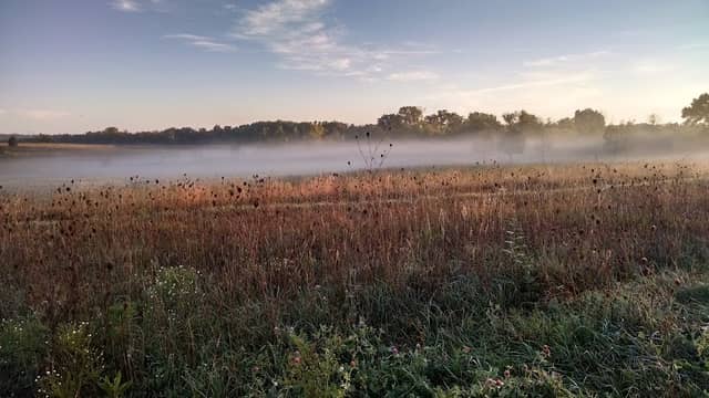 Duck Farm Forest Preserve - Image 2